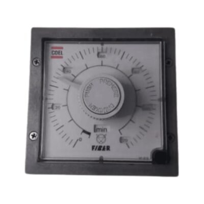 RELÉ COEL TEMPORIZADOR TZ24E DE 0 A 120MIN. 110V