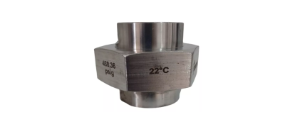 UNIÃO TUBO DE AÇO INOX TSD 1'' ROSCA 468,36PSIG BS&B - Imagem 2