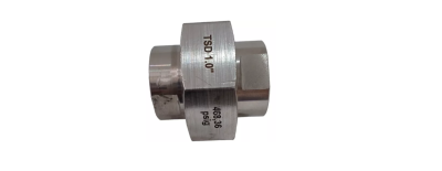 UNIÃO TUBO DE AÇO INOX TSD 1'' ROSCA 468,36PSIG BS&B - Imagem 3