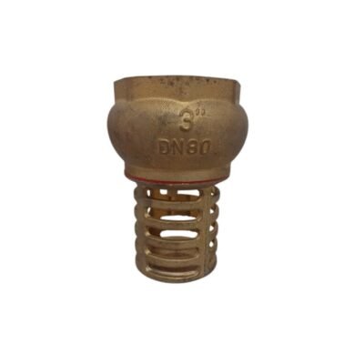 VÁLVULA RETENÇÃO SUCÇÃO 3'' DN80 PN16 GIPP BRONZE