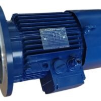 MOTOR BN100LBS BONFIGLIOL...